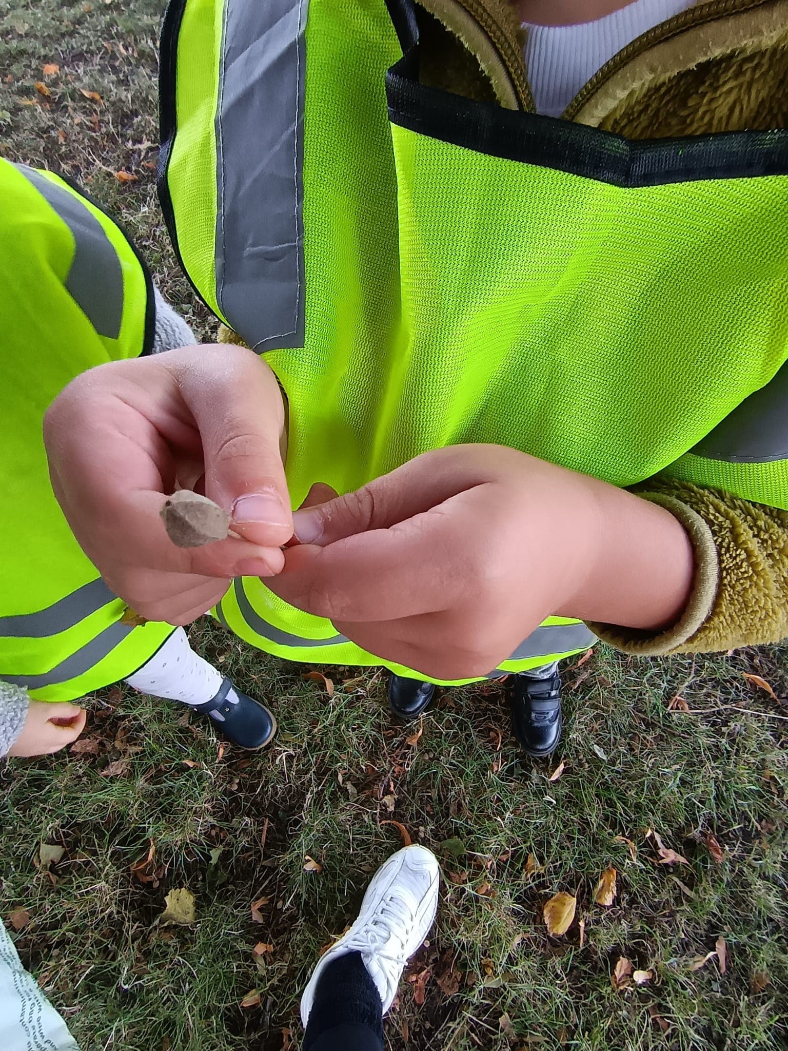 Children participating in group library outing